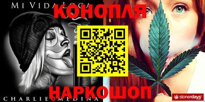 гашик Ирбит