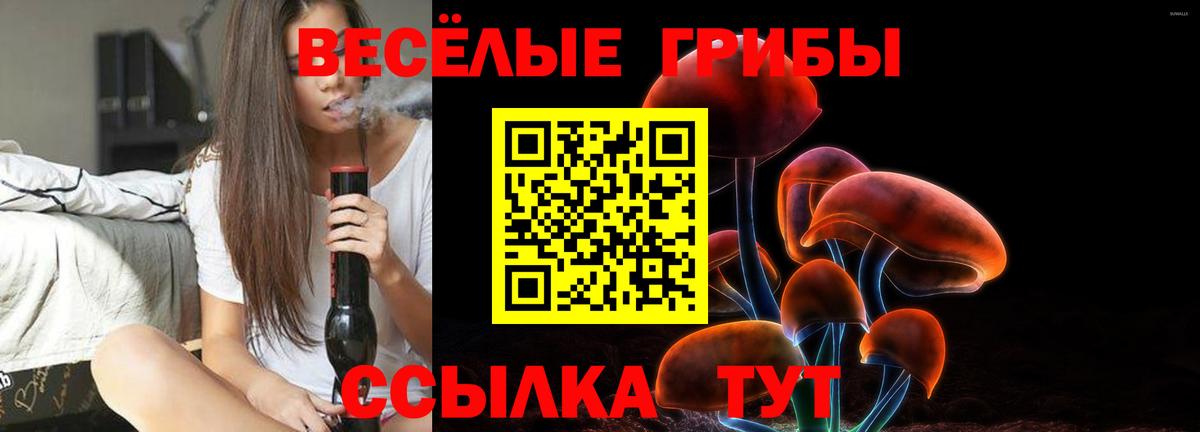 Псилоцибиновые грибы Cubensis Майкоп